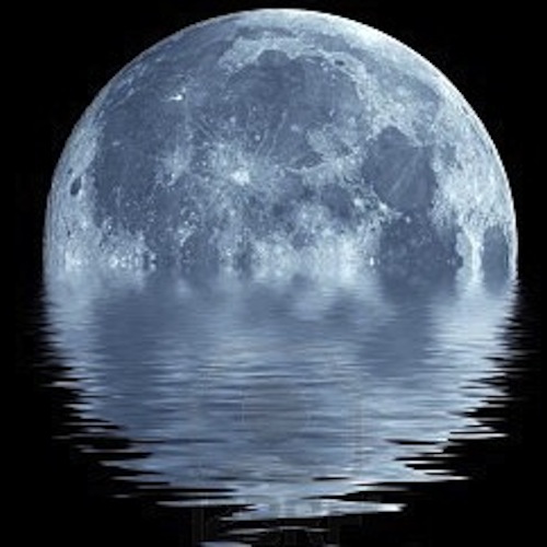 Conversations With Full Moon